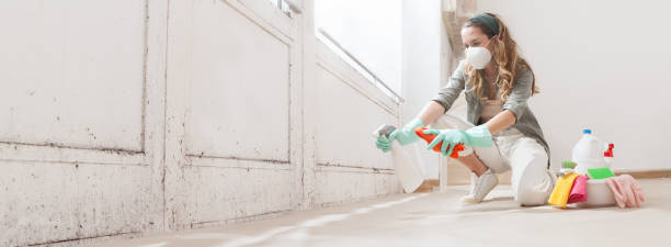 Why You Should Choose Our Mold Remediation Services in Greencastle, PA